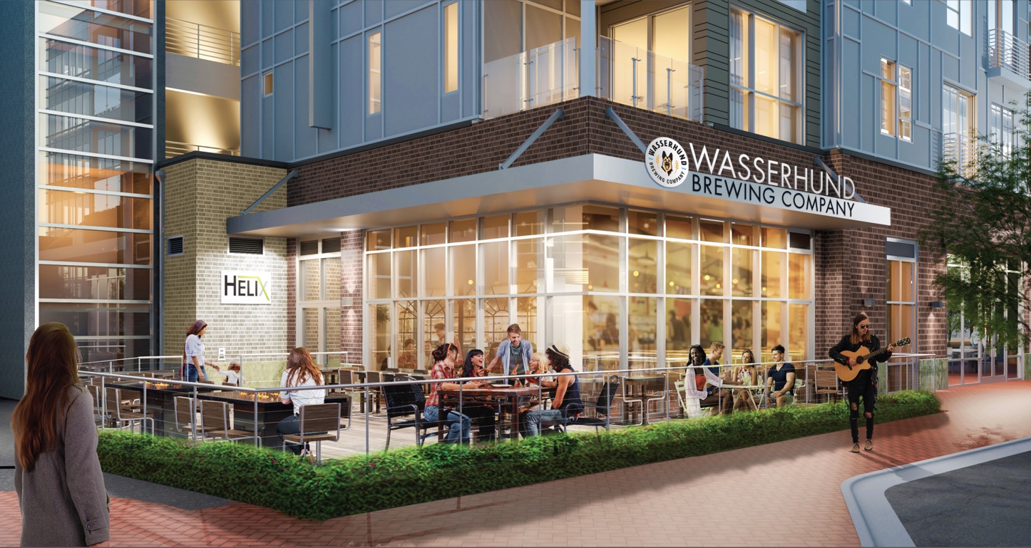 Chesapeake Rendering South Wasserhund