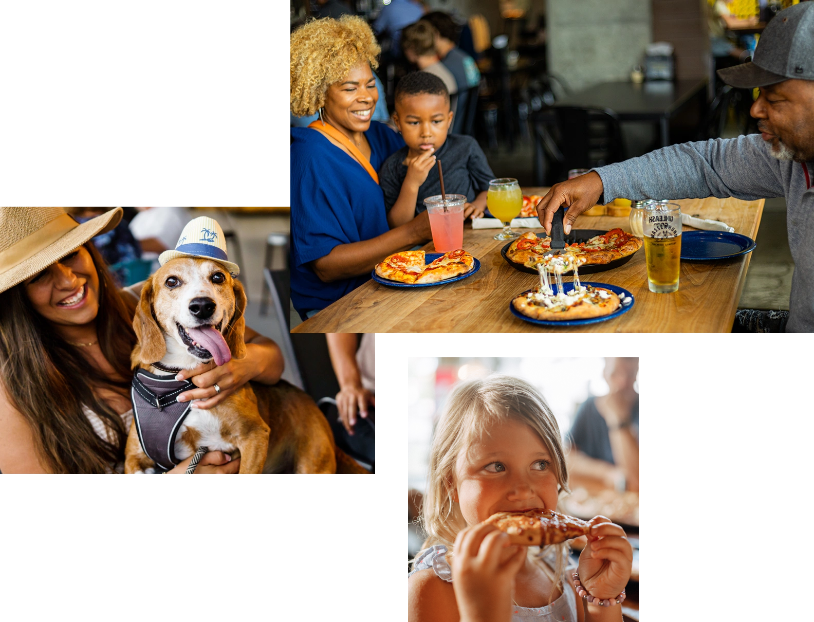 Table Service Families Dogs